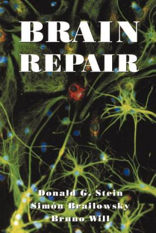 Książka Brain Repair Donald G. Stein