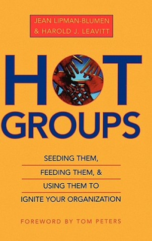 Buch Hot Groups Jean Lipman-Blumen