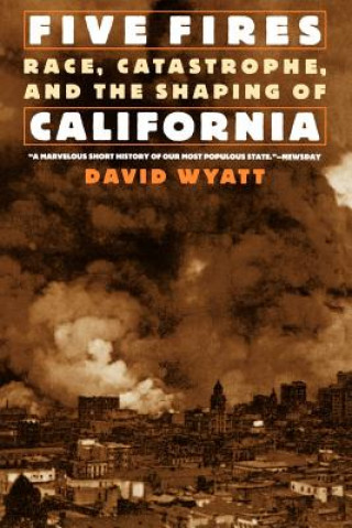 Книга Five Fires David Wyatt