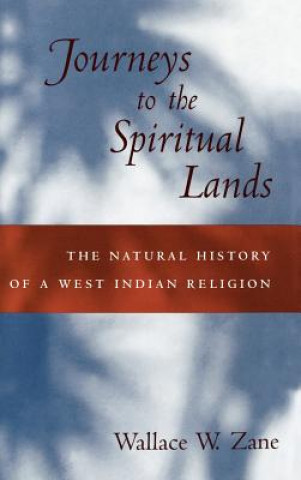 Kniha Journeys to the Spiritual Lands Wallace W. Zane