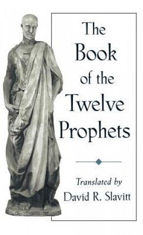 Buch Book of the Twelve Prophets David R. Slavitt