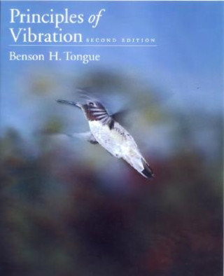 Buch Principles of Vibration Benson H. Tongue