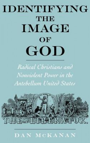 Buch Identifying the Image of God Dan McKanan