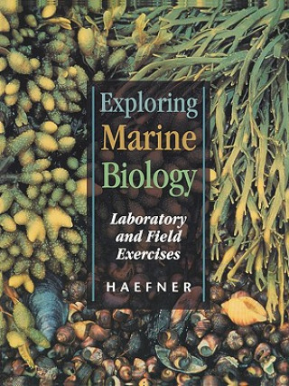 Kniha Exploring Marine Biology Paul A. Haefner