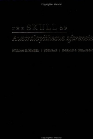 Könyv Skull of Australopithecus afarensis William H. Kimbel
