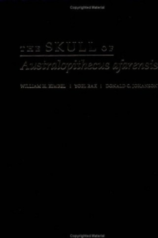 Buch Skull of Australopithecus afarensis William H. Kimbel