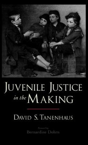 Könyv Juvenile Justice in the Making David S. Tanenhaus