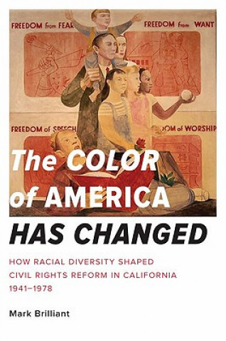 Книга Color of America Has Changed Mark Brilliant