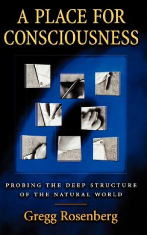Βιβλίο Place for Consciousness Gregg H. Rosenberg