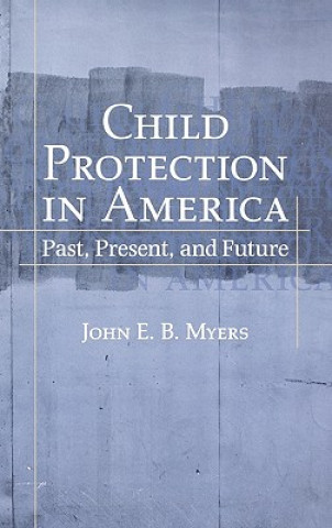 Book Child Protection in America John E. B. Myers