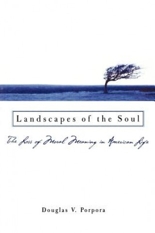 Книга Landscapes of the Soul Douglas V. Porpora