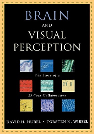 Könyv Brain and Visual Perception David H. Hubel