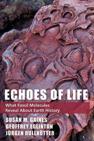 Buch Echoes of Life Jurgen Rullkotter