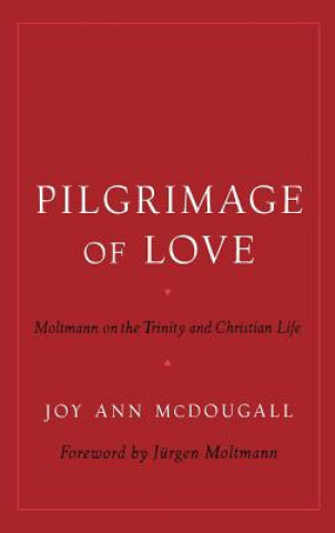Kniha Pilgrimage of Love Joy Ann McDougall