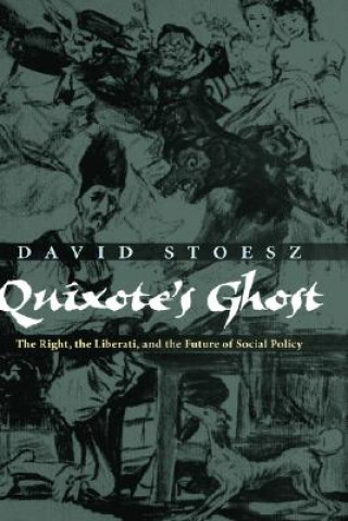 Book Quixote's Ghost David Stoesz