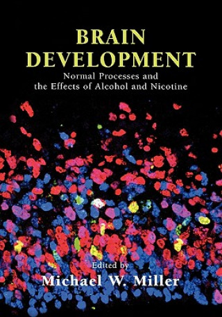 Knjiga Brain Development Michael W. Miller