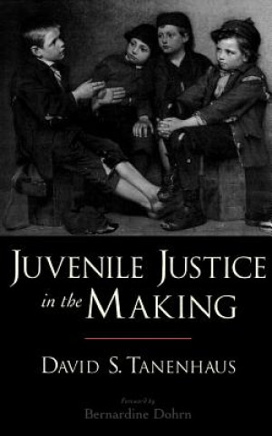 Könyv Juvenile Justice in the Making David S. Tanenhaus