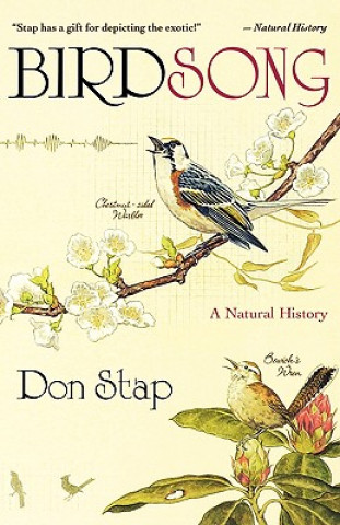Kniha Birdsong Don Stap