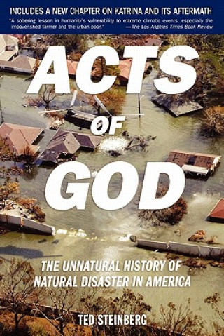 Könyv Acts of God Steinberg