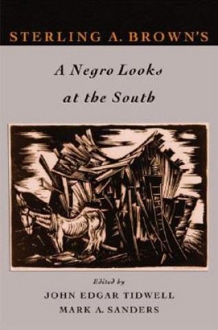 Książka Sterling A. Brown's A Negro Looks at the South John Edgar Tidwell