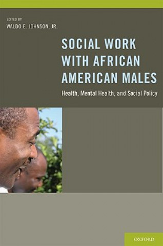 Kniha Social Work With African American Males Waldo E. Johnson