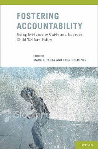 Könyv Fostering Accountability Mark F. Testa