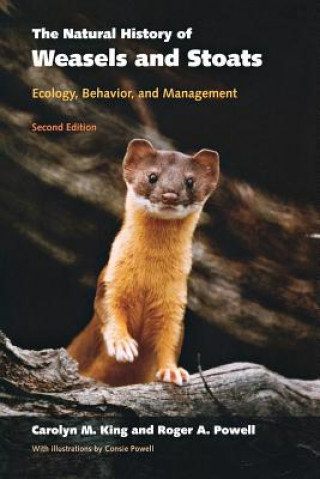 Kniha Natural History of Weasels and Stoats King