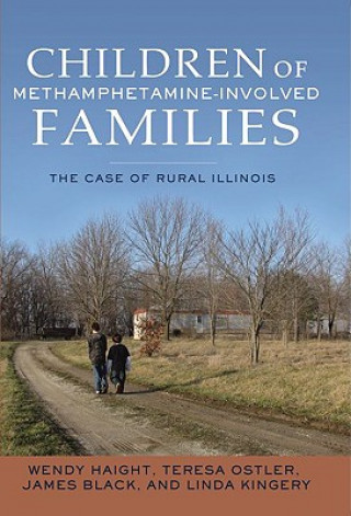 Kniha Children of Methamphetamine-Involved Families Wendy Haight