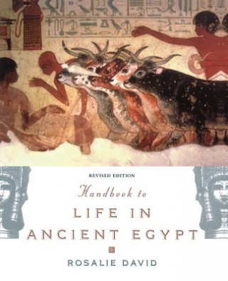Könyv Handbook to Life in Ancient Egypt Rosalie David