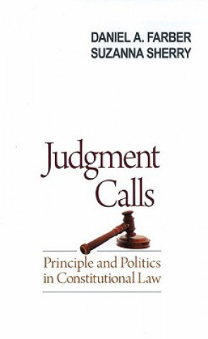 Βιβλίο Judgment Calls Daniel A. Farber