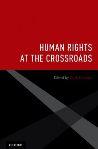 Book Human Rights at the Crossroads Mark Goodale