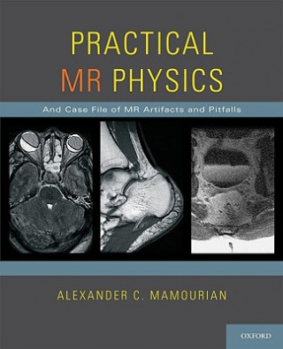 Knjiga Practical MR Physics Alexander C. Mamourian