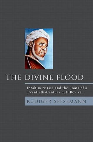 Kniha Divine Flood Rudiger Seesemann