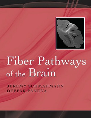 Książka Fiber Pathways of the Brain Jeremy D. Schmahmann