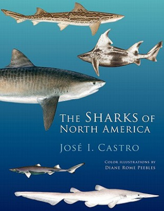 Kniha Sharks of North America Jose I. Castro