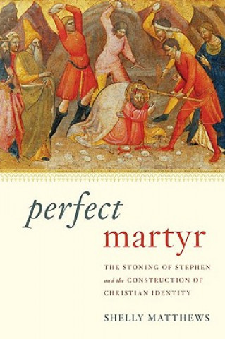 Książka Perfect Martyr Shelly Matthews