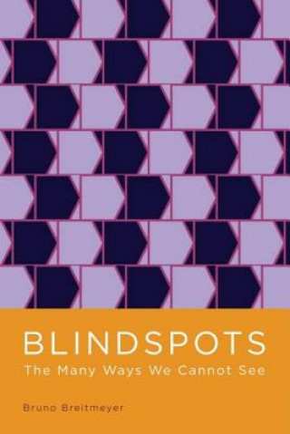 Könyv Blindspots Bruno G. Breitmeyer