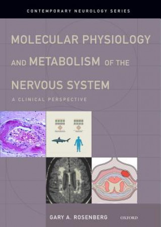 Kniha Molecular Physiology and Metabolism of the Nervous System Gary A. Rosenberg