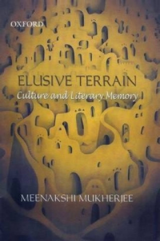 Book Elusive Terrain Meenakshi Mukherjee