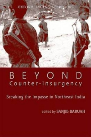 Книга Beyond Counter-Insurgency 