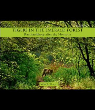 Buch Tigers in the Emerald Forest Valmik Thapar