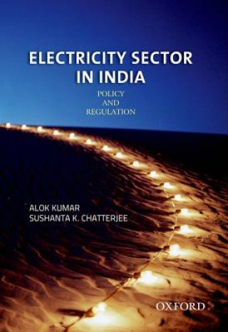 Kniha Electricity Sector in India Alok Kumar