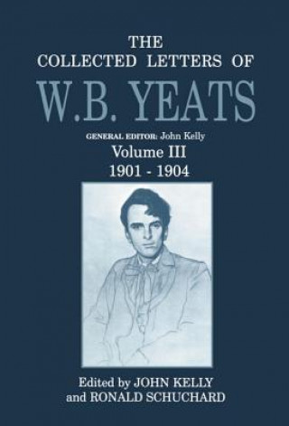 Kniha Collected Letters of W. B. Yeats: Volume III: 1901-1904 W B Yeats