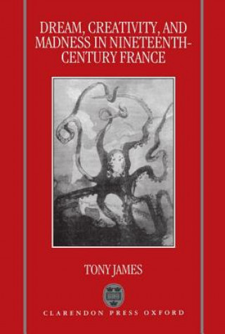 Knjiga Dream, Creativity, and Madness in Nineteenth-Century France Tony James