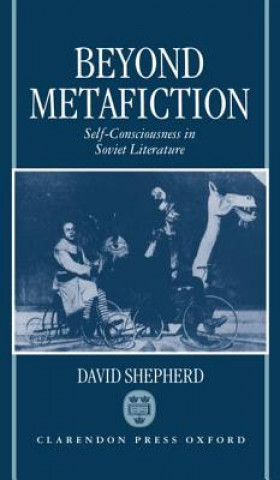 Kniha Beyond Metafiction David Shepherd