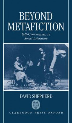 Könyv Beyond Metafiction David Shepherd