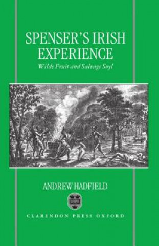 Kniha Edmund Spenser's Irish Experience Andrew Hadfield