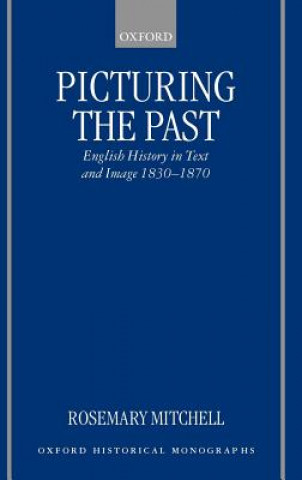 Книга Picturing the Past Rosemary Mitchell