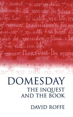 Buch Domesday David Roffe