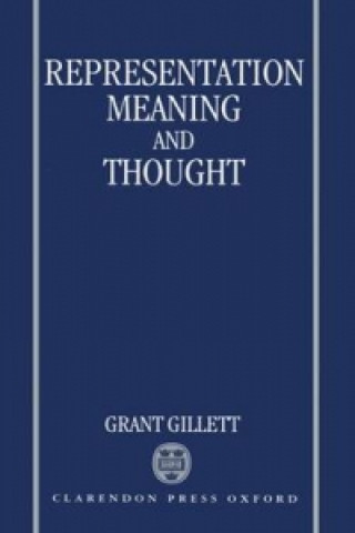 Boek Representation, Meaning, and Thought Grant R. Gillett